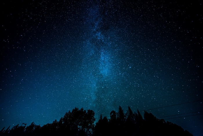 Milky Way over a silhouetted forest landscape