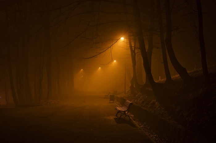 Park bench at night with streetlights in fog