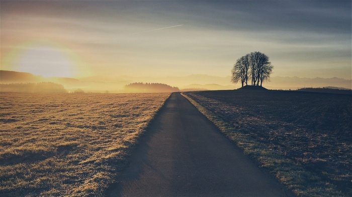 Road through fields at sunset with trees