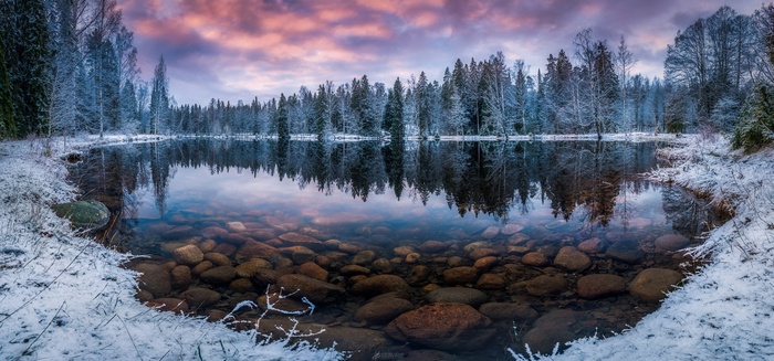 Winter lake with snow-covered trees and colorful sky