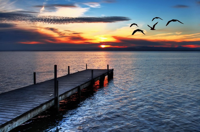 Seagulls fly over a pier at sunset
