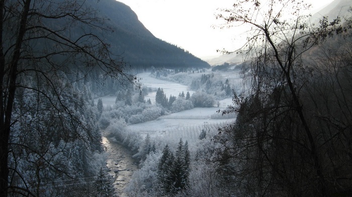 Winter landscape with snow-covered trees and a river