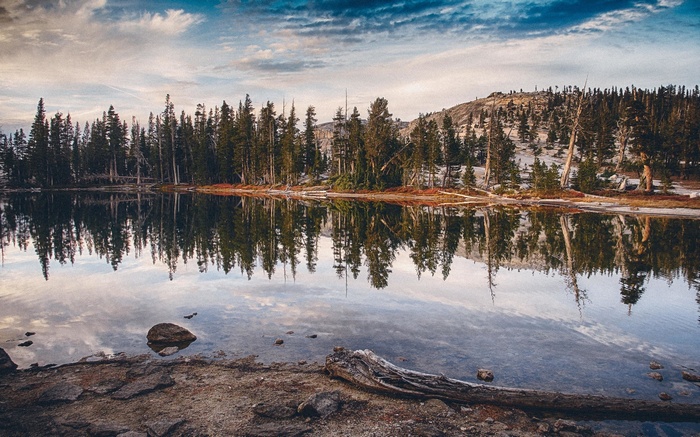 Forest reflected in a calm lake with mountains