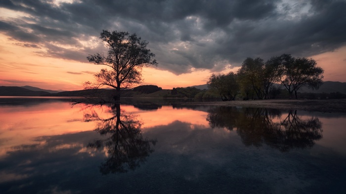 Tree reflection in lake at sunset