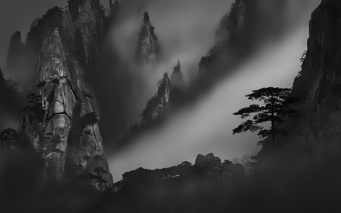 Misty mountains with pine trees in monochrome