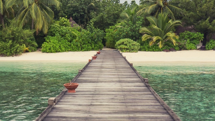 Wooden pier leading to a tropical beach with palm trees