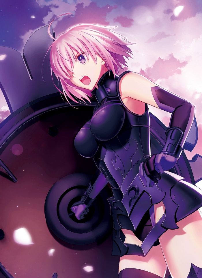 Shielder (Fate/Grand Order) in Armor