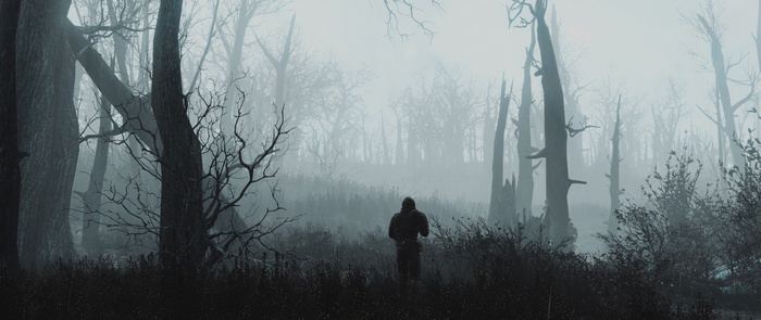 Fallout 4 character in a foggy forest