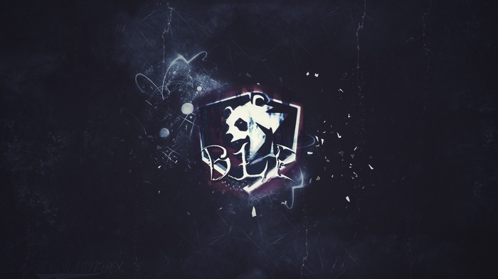 BLR Panda Logo Counter-Strike: Global Offensive e-sports