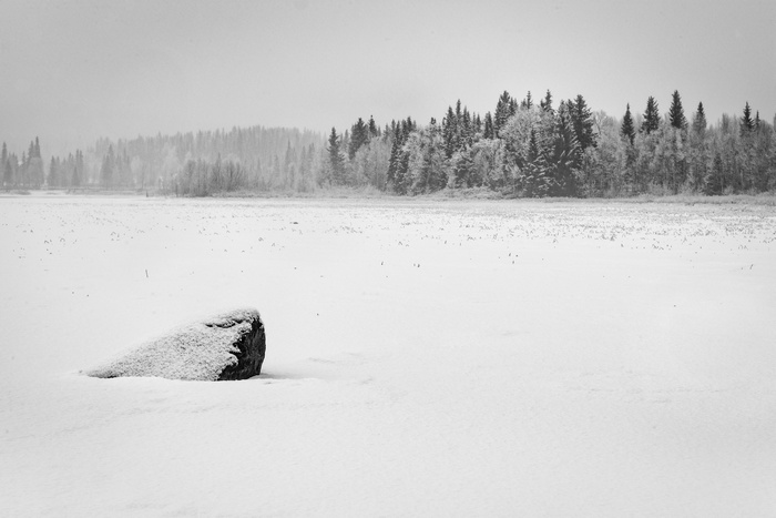 Winter landscape with snow-covered rock and forest