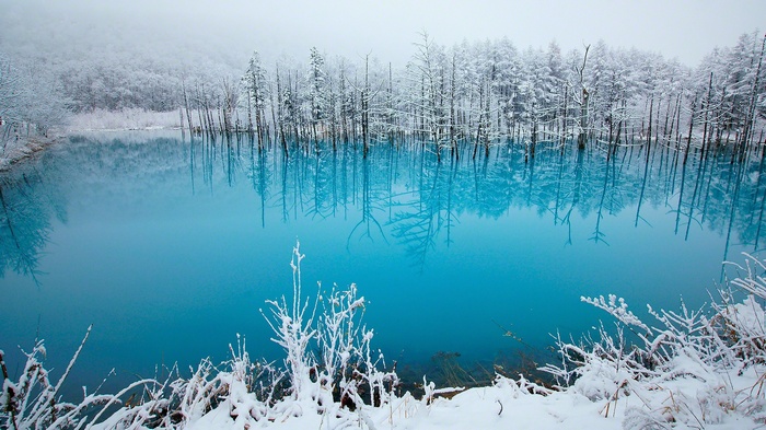 Snowy trees reflected in a bright blue winter lake