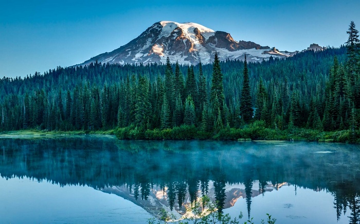 Mount Rainier reflected in a misty lake with pine forest