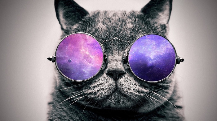 Cat wearing galaxy-themed glasses