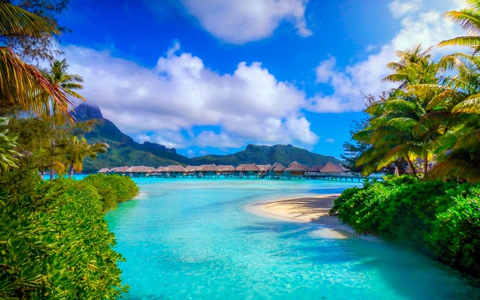 mountains, sea, beach, island, landscape, palm trees, tropical, summer, resort, French Polynesia, nature, Bora Bora