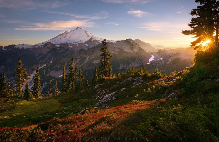 Mountain landscape with pine trees at sunset