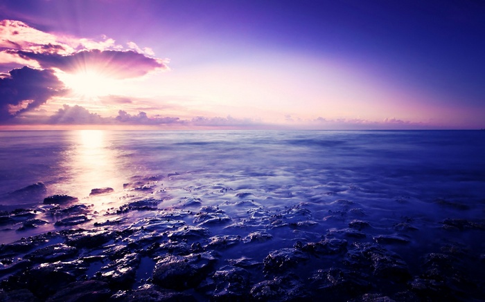 Purple Sunset Over the Ocean with Rocky Shore