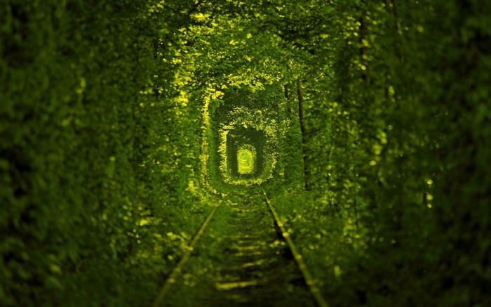 Tunnel of Love, Klevan, Ukraine