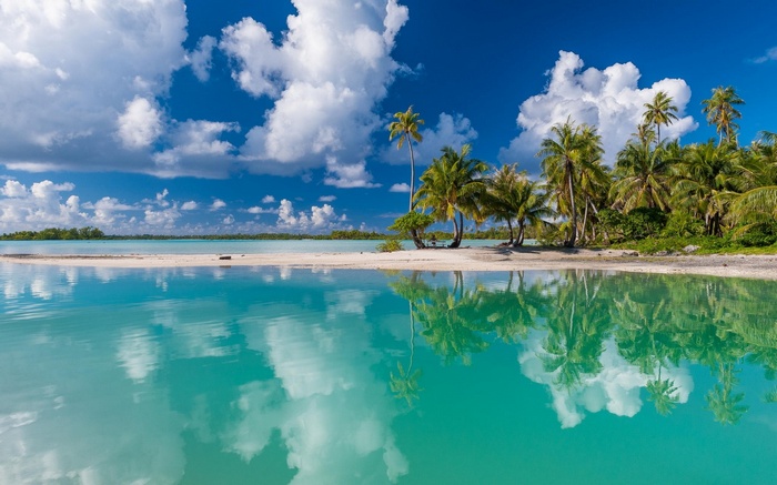 Tropical island with palm trees and turquoise water