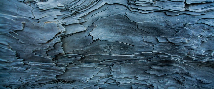Macro photography of weathered wood texture