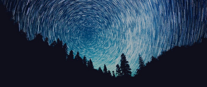 Star trails over a dark forest landscape