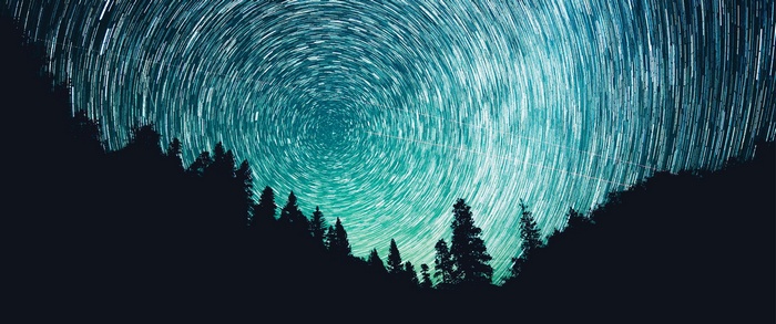 Star trails over a dark forest landscape