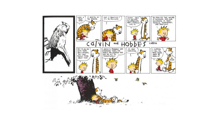 Calvin and Hobbes comic strip about a dead bird