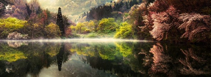 Misty Spring Morning Lake Reflection in South Korea