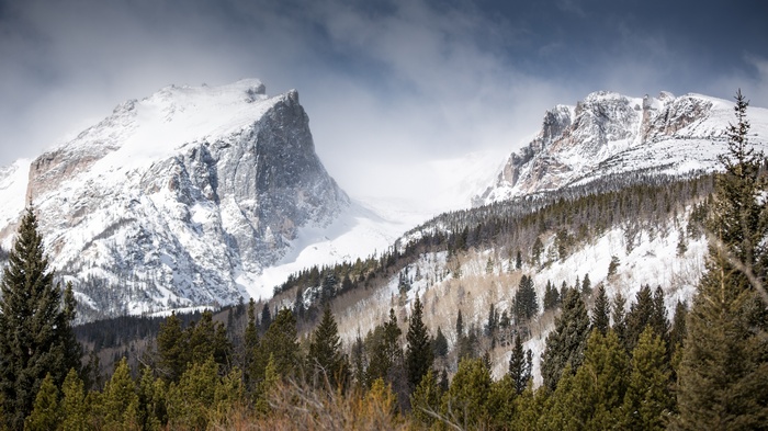 Snow-covered Rocky Mountains with pine forest