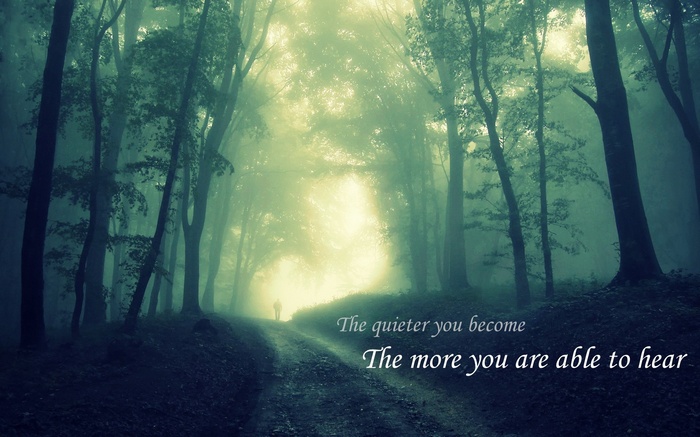 A quote about silence in a foggy forest