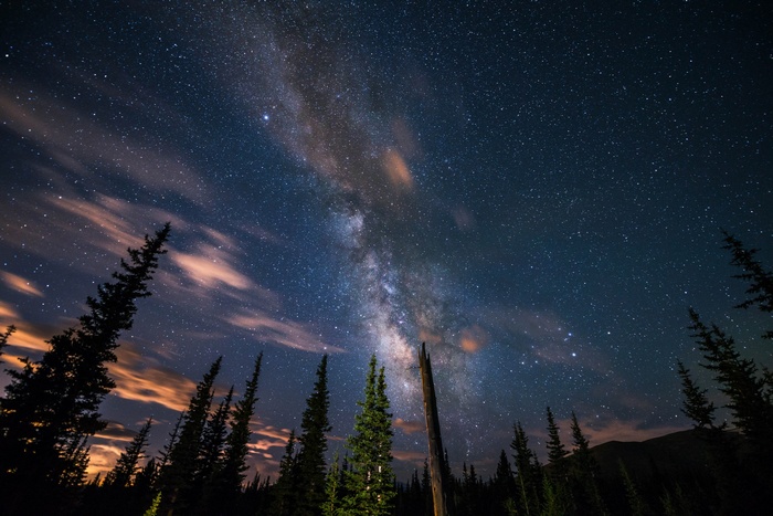 Milky Way over a dark forest at night