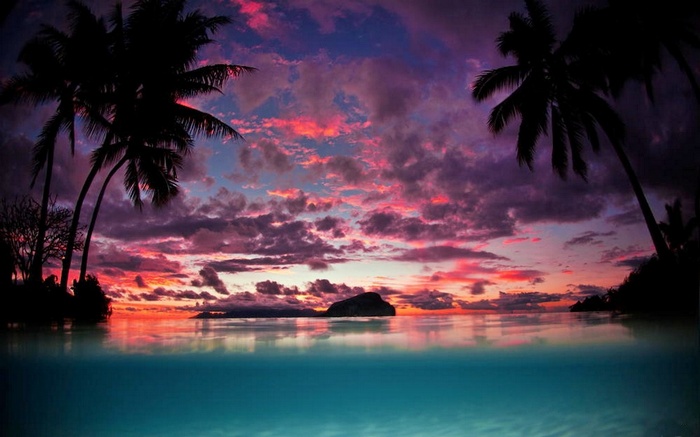 Tropical sunset over the ocean with palm trees and island