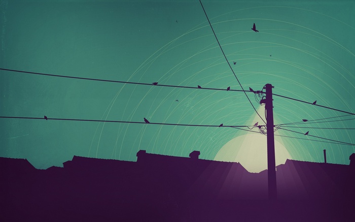 Birds perched on wires above rooftops at sunset
