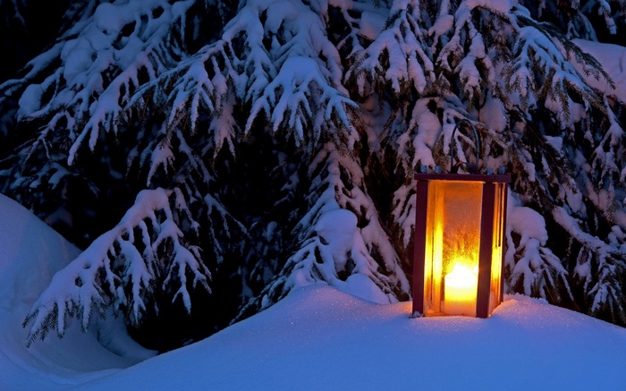 Lantern glowing in the snow at night with pine trees
