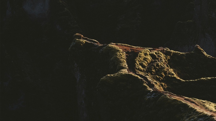Moss-covered rocks in a dark landscape