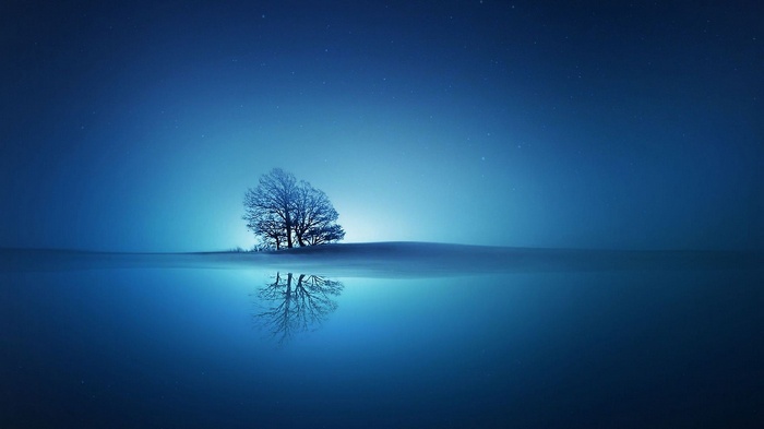 Lone tree reflected in water under starry sky