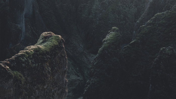 Moss-covered rocks in a dark canyon