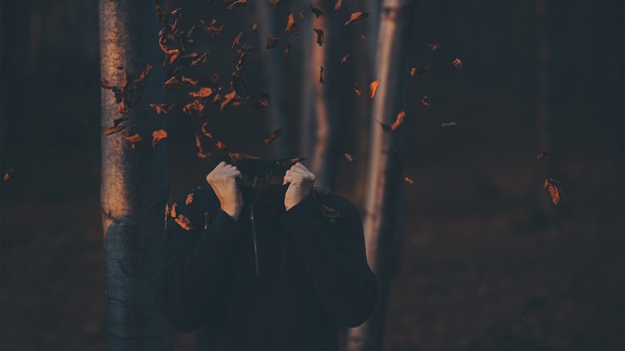 Person with leaves falling in a forest