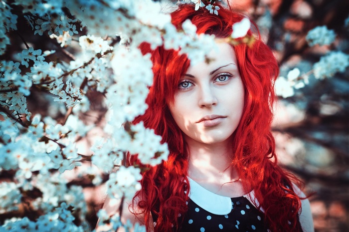 Woman with red hair among cherry blossoms