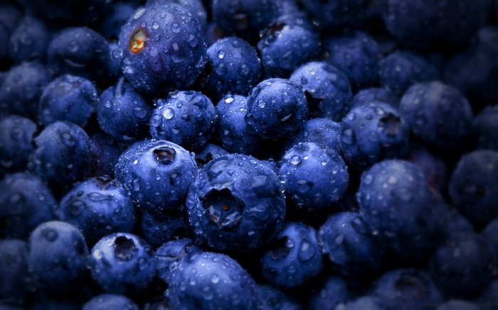 Close-up of wet blueberries with water drops
