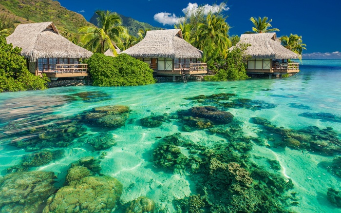 Overwater bungalows in a tropical lagoon