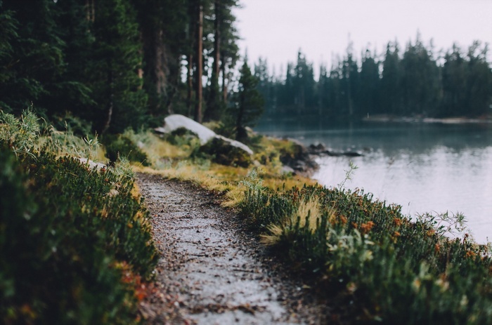 A dirt path leads along a lake through a forest