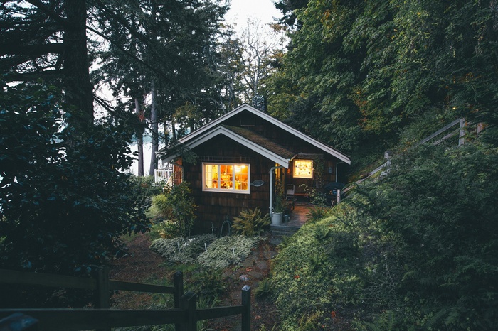 Cozy cabin nestled in a dense forest