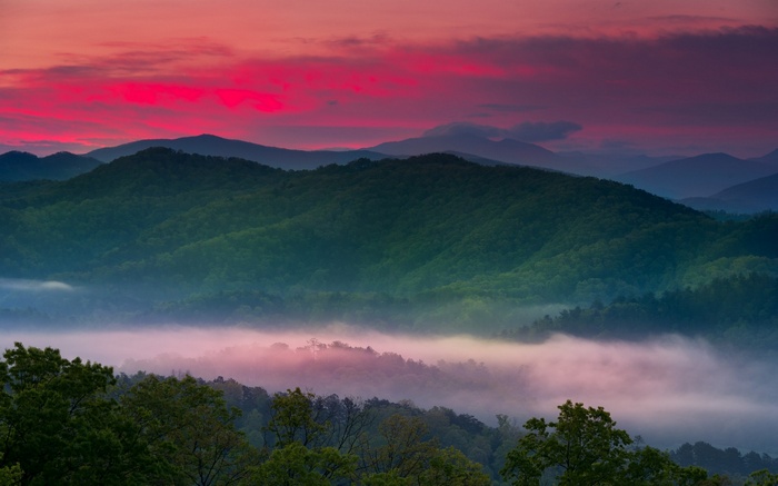 Mountains and valley with pink mist at sunrise