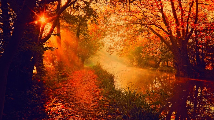 Sun rays through autumn trees along a misty river