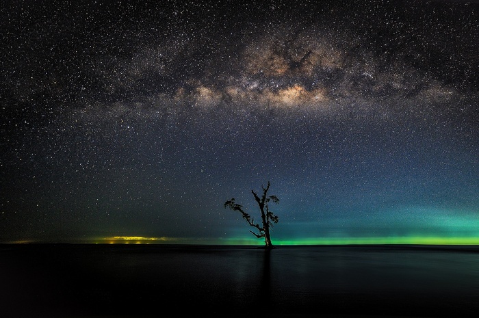 Tree under the Milky Way and Aurora
