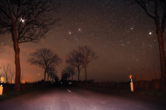 Road under starry night sky with trees