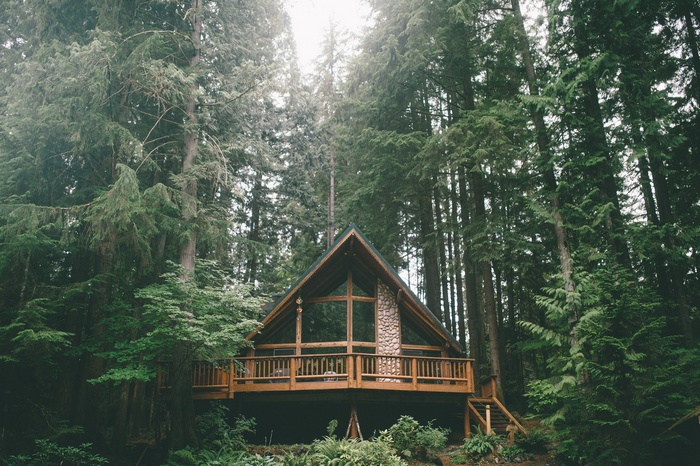 A-frame cabin in a dense forest