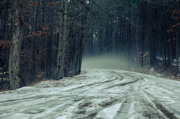 Snowy forest road with mist
