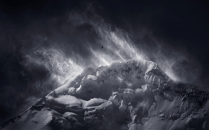 Monochrome snowy peak in the Himalayas with birds flying