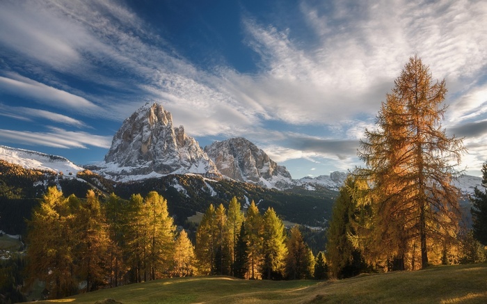 Autumn trees in front of snowy mountains in the Alps